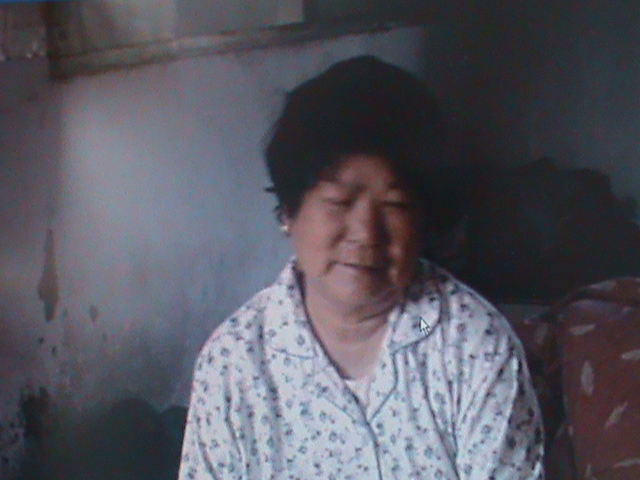 焦平兰