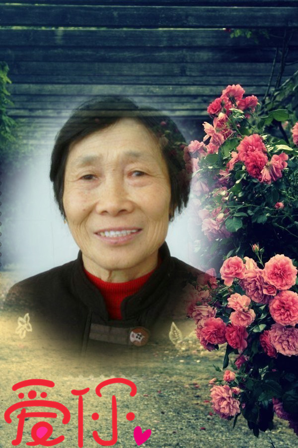 慈母汪从英