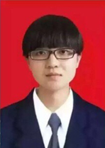 卢佳