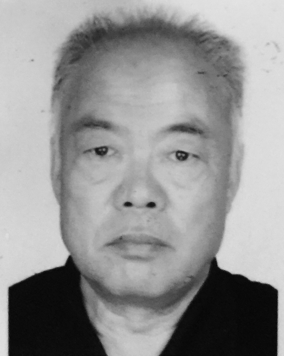 杨风元