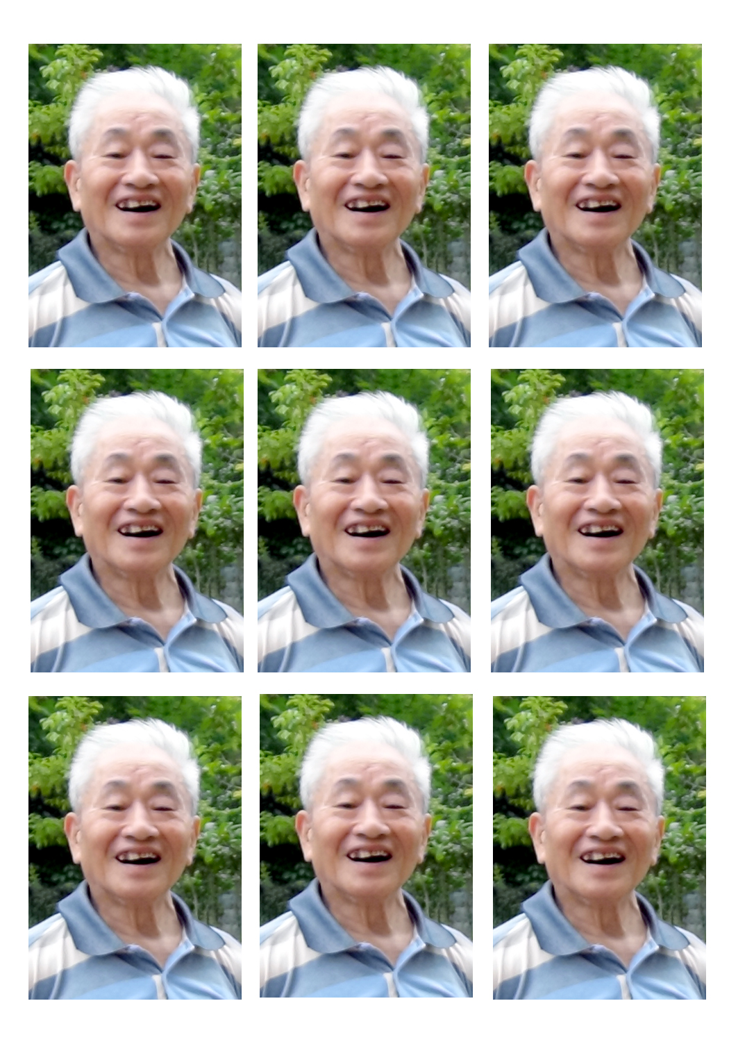 向探真