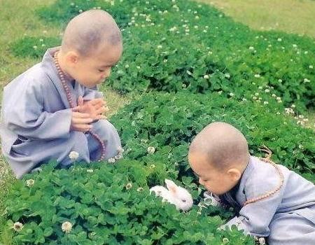 放生对人的好处