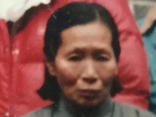 吴金凤