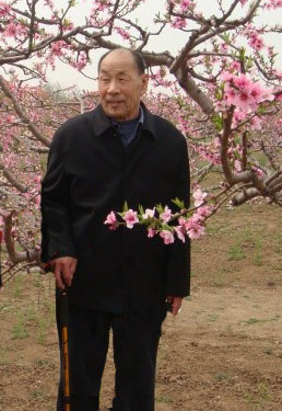 许平等