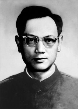 彭家木