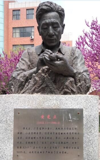 黄光正