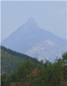 莲叶何田田