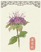 忘不了
