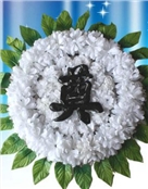 weiwei