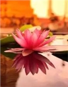 莫月军