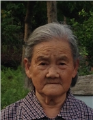 陈淑华