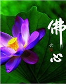 月亮