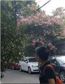 七格格