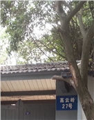 汗节
