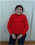 李素芬