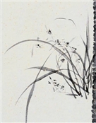亮3+果2