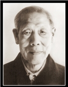 赵岚