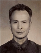 林克