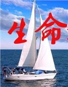 鱼在水利