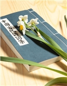 洁雅娴柔