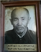 芦树枝
