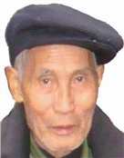 杨树全