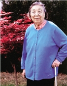 杨敏如