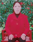 李维芬