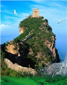 陈
