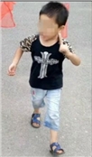毛毛