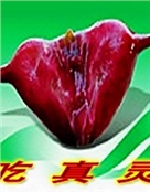 兔爷爷