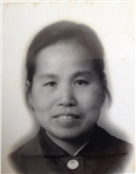 陈婉珍