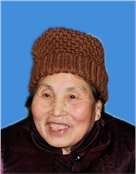 党柳叶