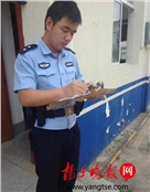 戴鹏