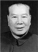 杨成武
