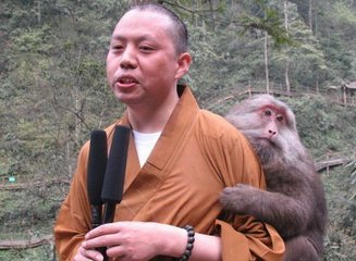 易经：你若盛开，蝴蝶自来，你若精彩，天自安排