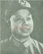 肖华