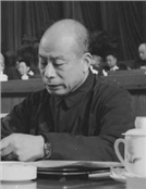 林乎加