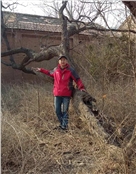 大德曰生