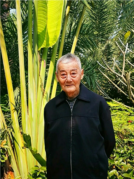 沈涛