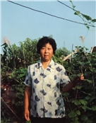 杨凤莲