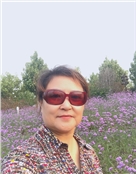 找找