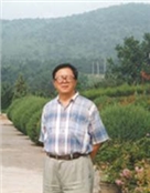 沈世镒