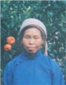 慈母夏美英