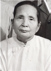 孙金蝉