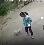 杨某婷