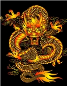 爸爸的天堂