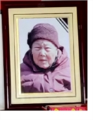 赵立英