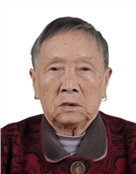 刘美文