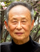 岑志卿